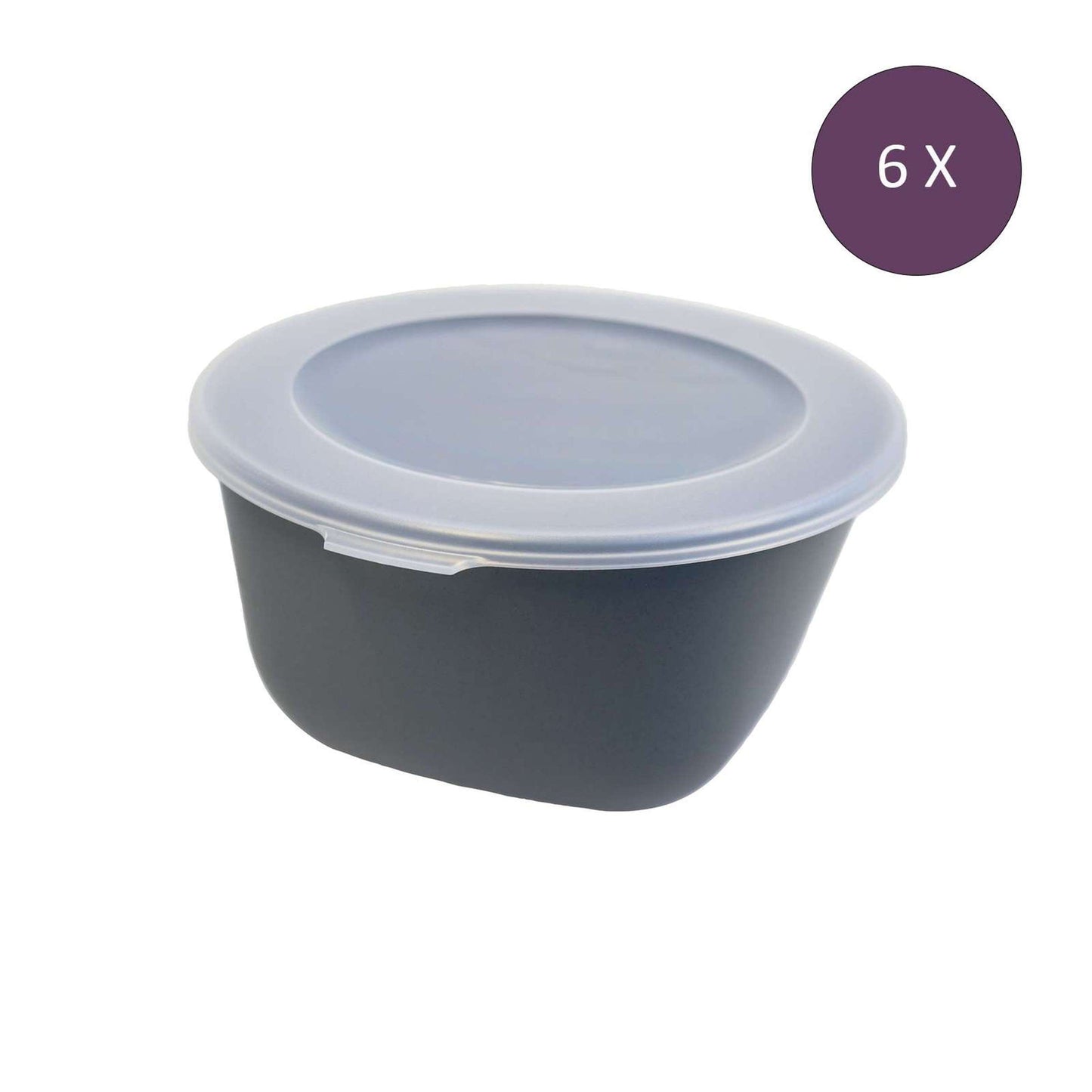 Vershoudbakjes 1 Liter met Deksel (Set van 6) - Lekvrij en Stapelbaar